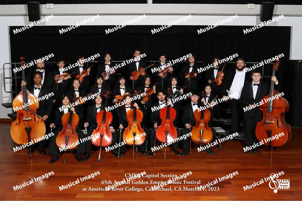 Musical Images